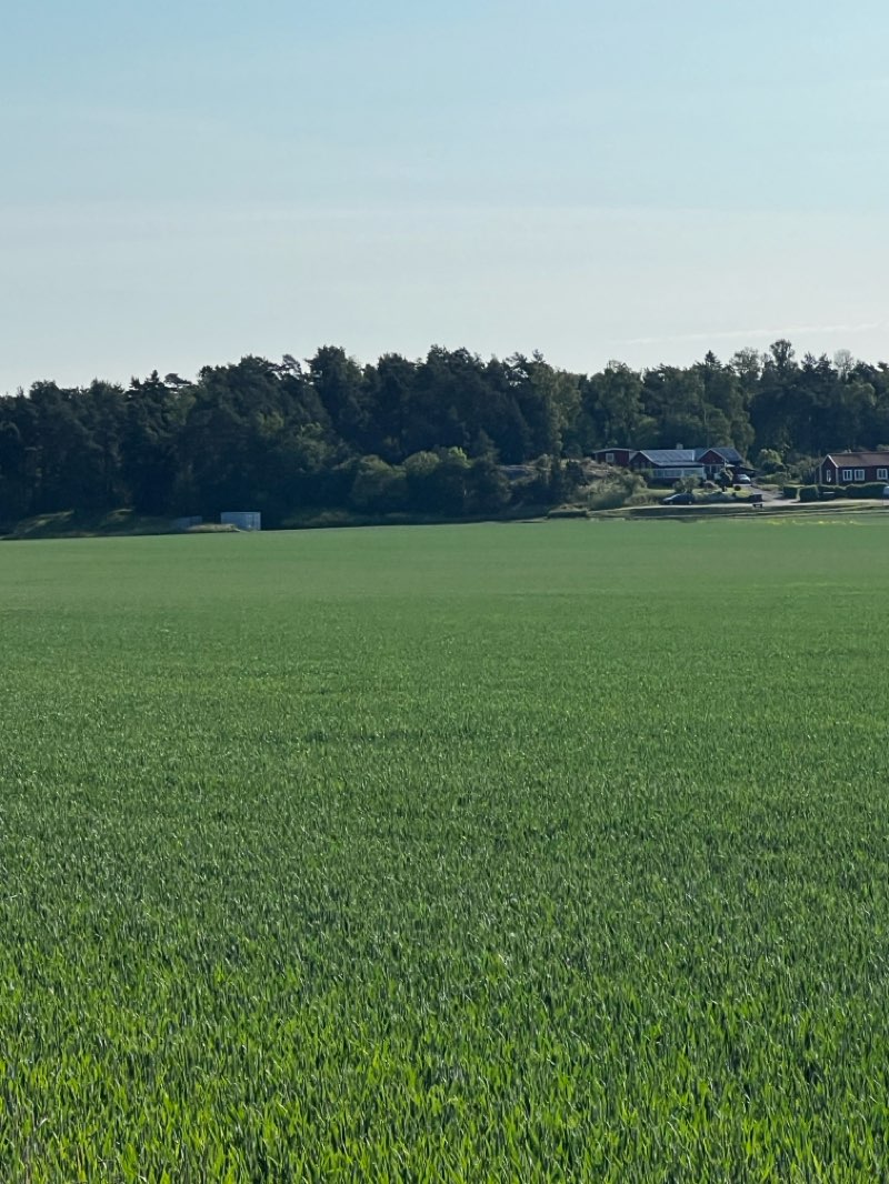 walking near me in Observatorieparken in summer