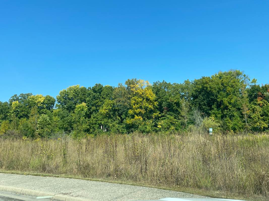 walking near me in Central Park in autumn