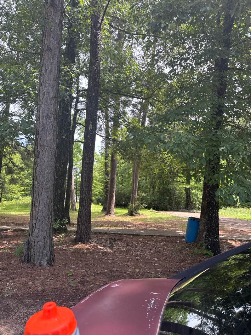 walking near me in Crossett City Park in summer
