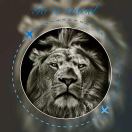 Iɴsoᴍɴɪᴀ້໌