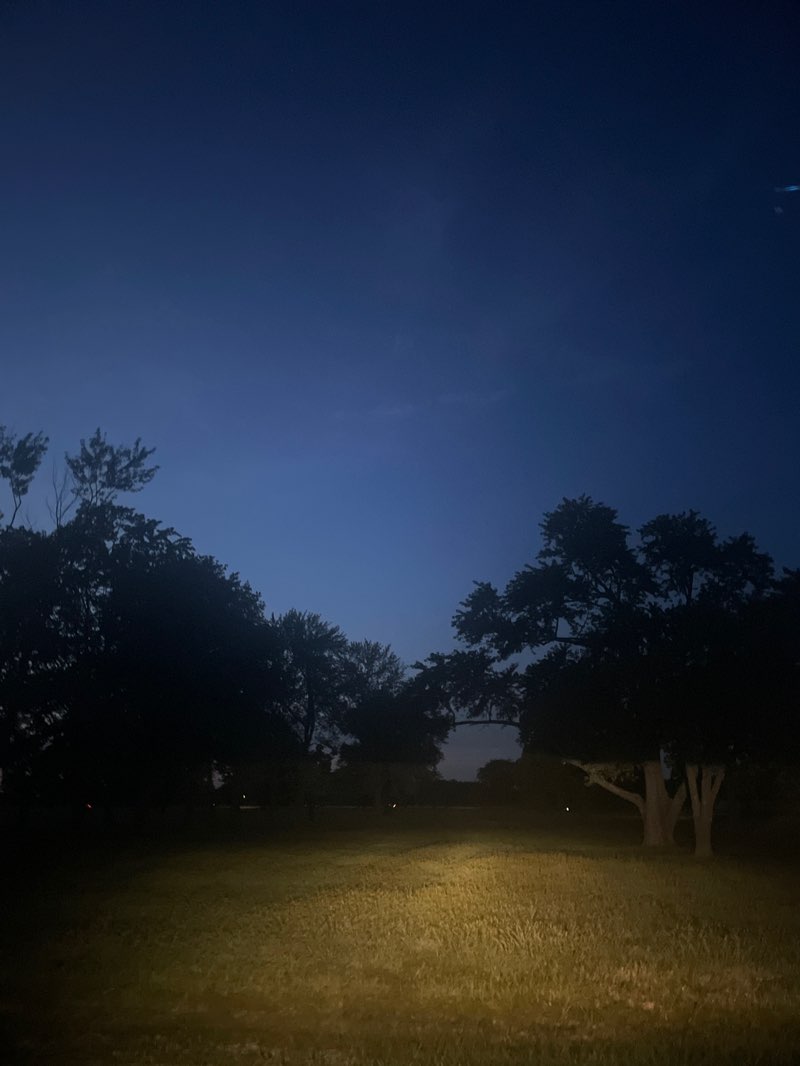 walking near me in Cahokia Mounds State Historic site in autumn