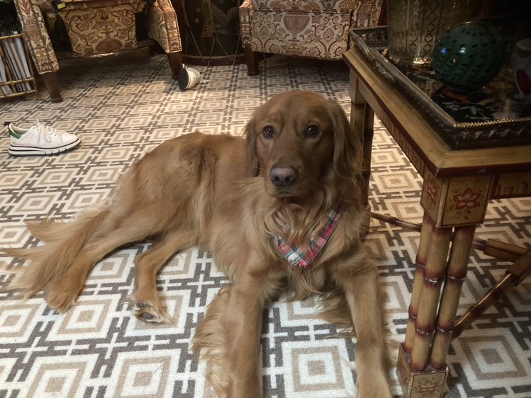 Murphy Tymosko