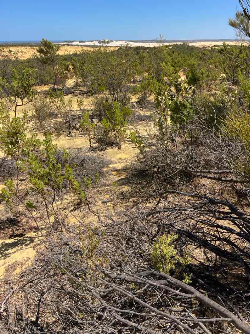 walking near me in Nambung National Park in autumn