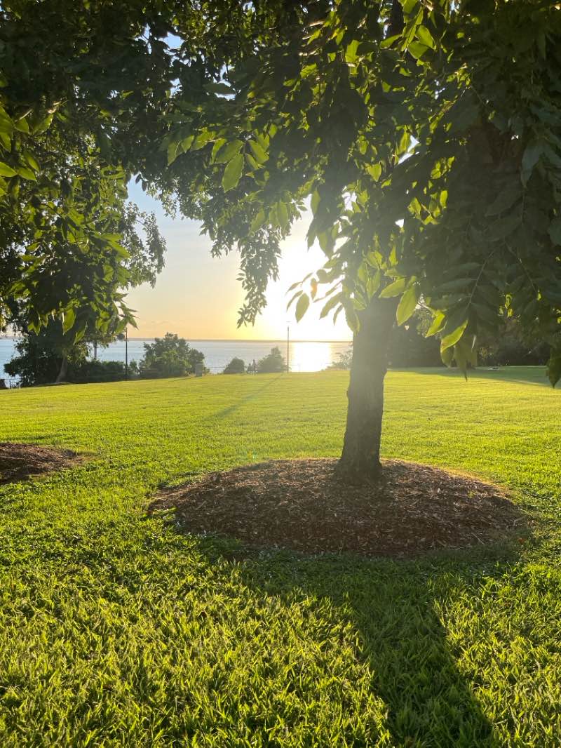 walking near me in Jervois Park in autumn