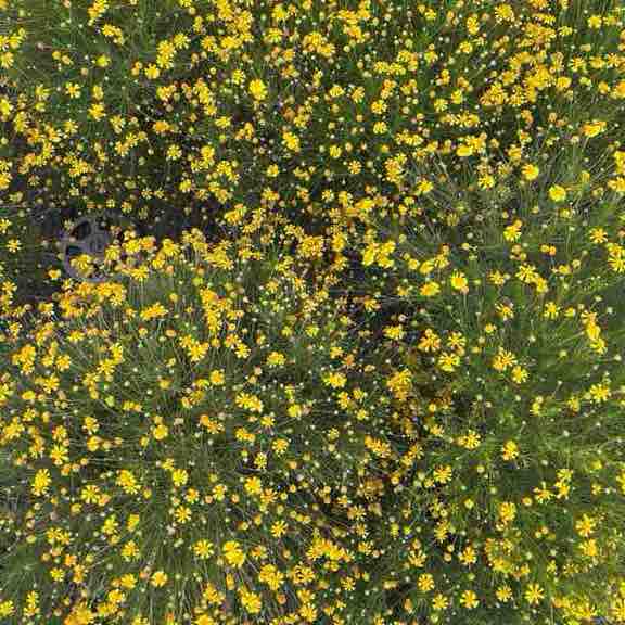 Jerry Campbell post 2