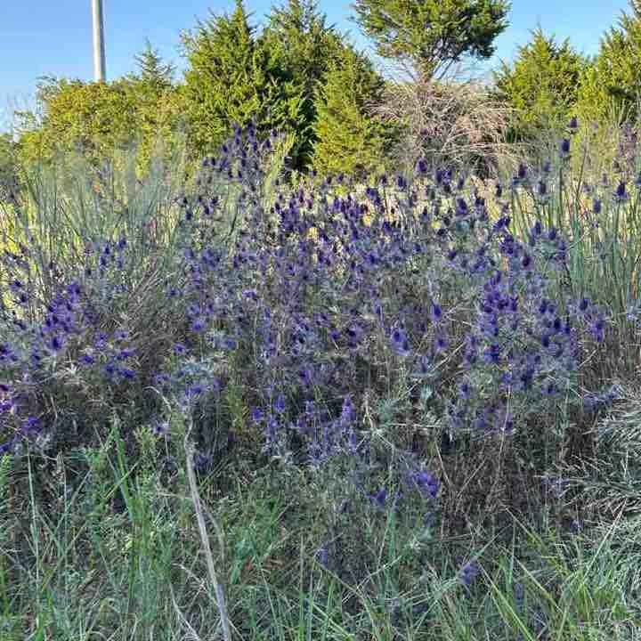 Jerry Campbell post 2