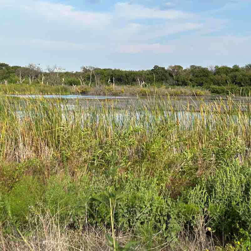 Jerry Campbell post 1