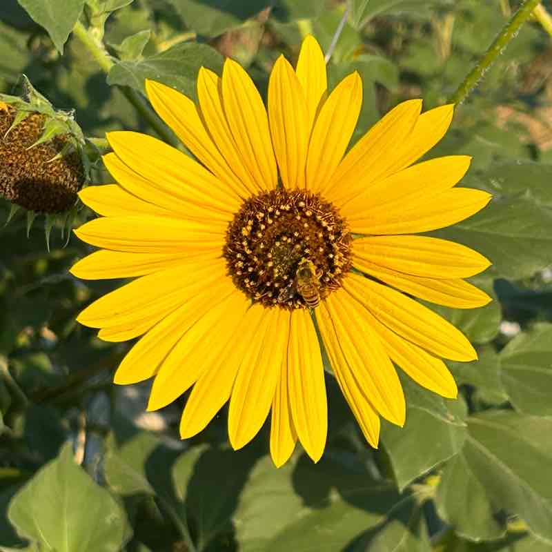 Jerry Campbell post 3