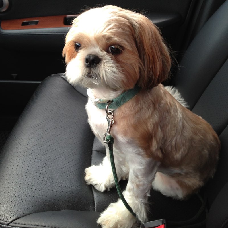 中港 總務 王芷綾