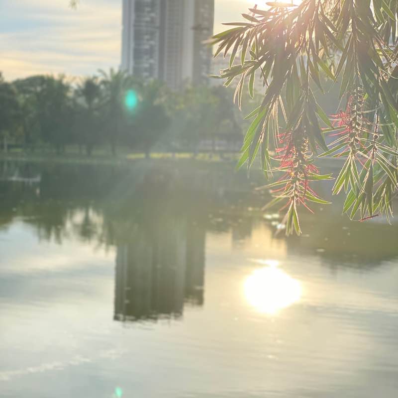 Lyanna Amalina post 2