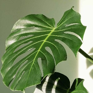 🌻Whittles🌻 profile