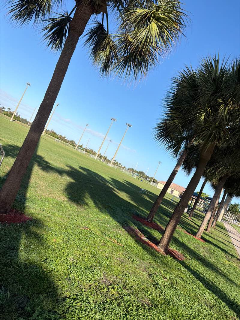walking near me in Miramar Regional Park in winter