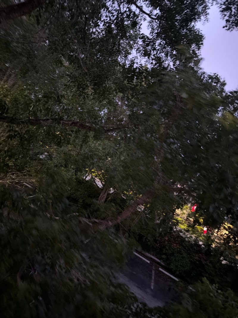 walking near me in Emerald Estates Park in summer