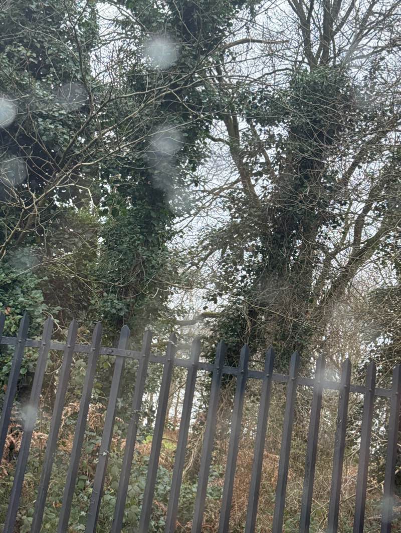 walking near me in King George V Recreation Ground in winter