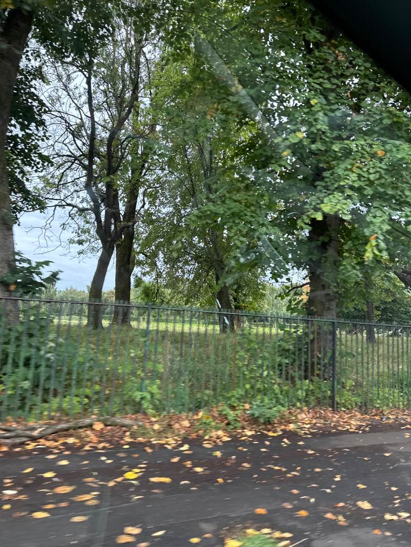 walking near me in Victoria Park in autumn