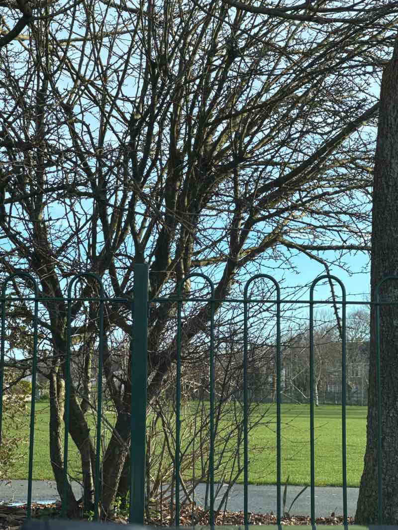 walking near me in Hayle Recreation Ground in winter