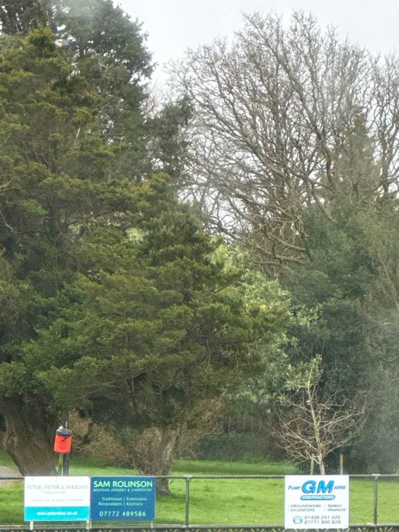 walking near me in Stanhope Park in spring