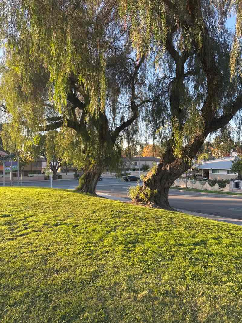 walking near me in Friendship Park in winter