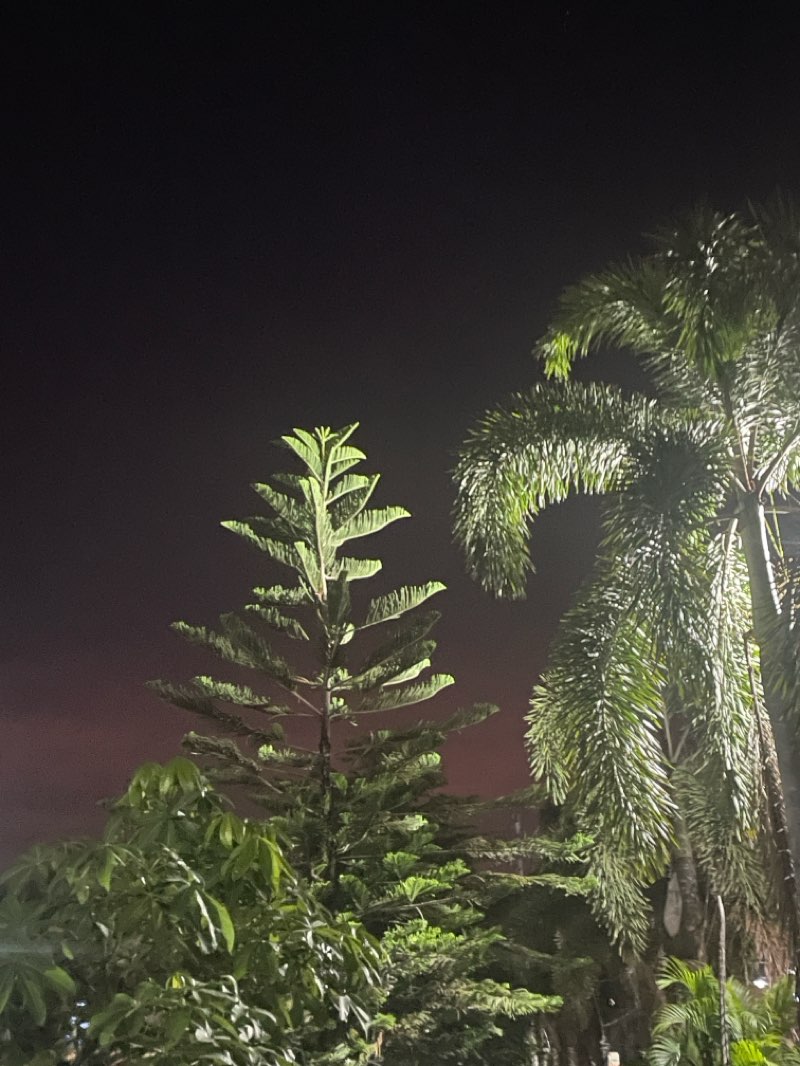 walking near me in Magalang Town Plaza in spring