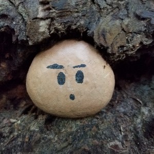 brown llama 🦙🦙🦙🦙🫶🏾