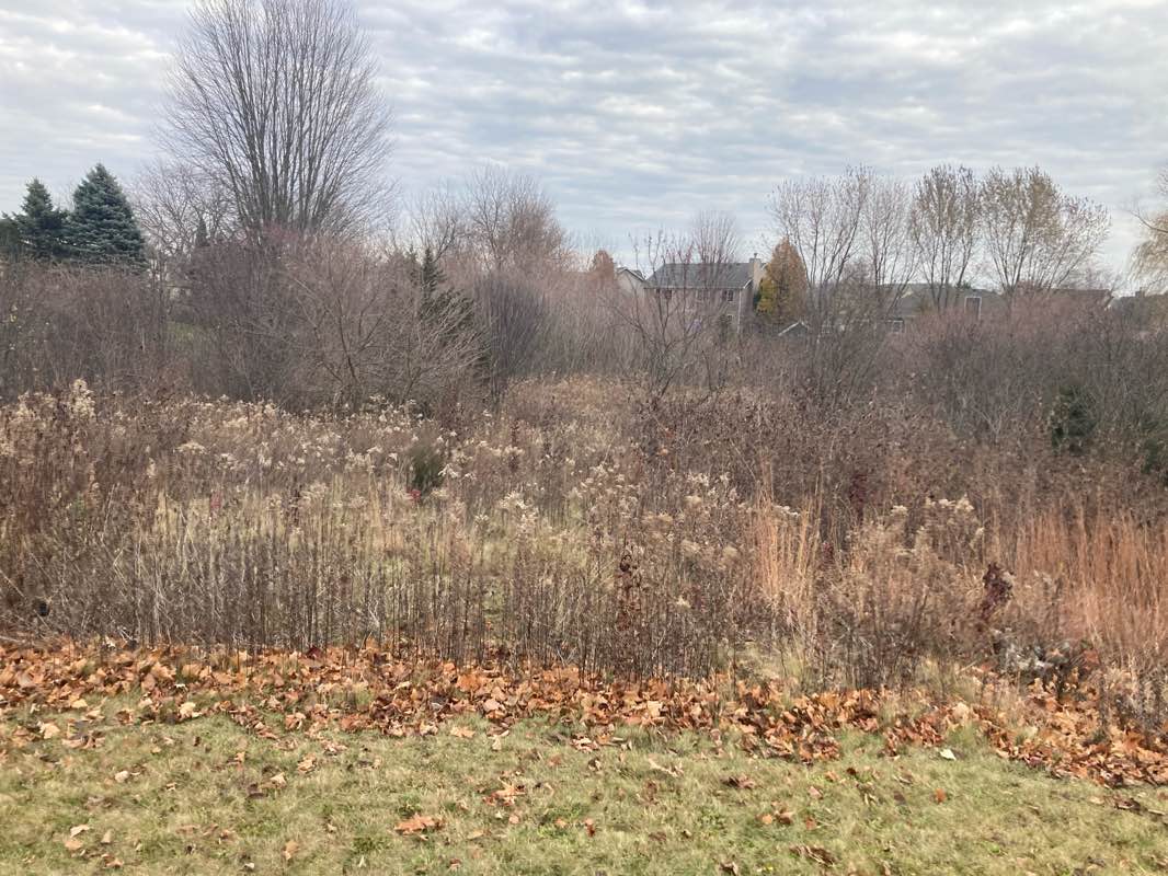 walking near me in Woodscreek Park in autumn