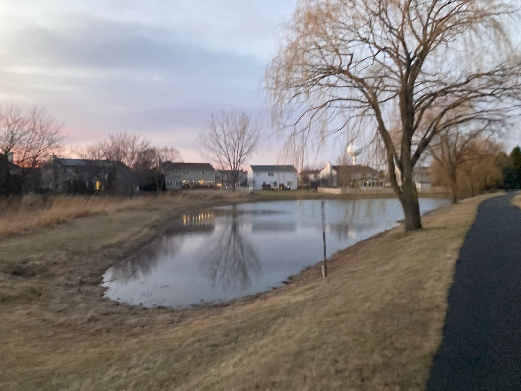 walking near me in Hill Farm Park in spring