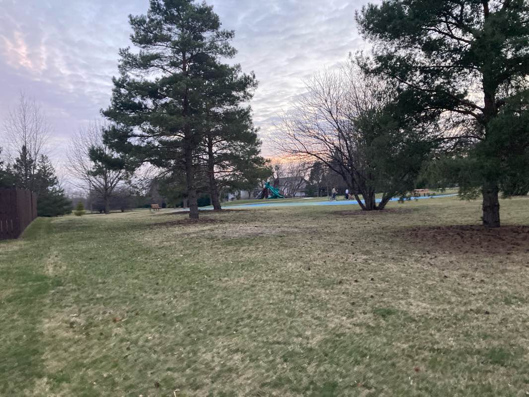 walking near me in Woodscreek Park in spring