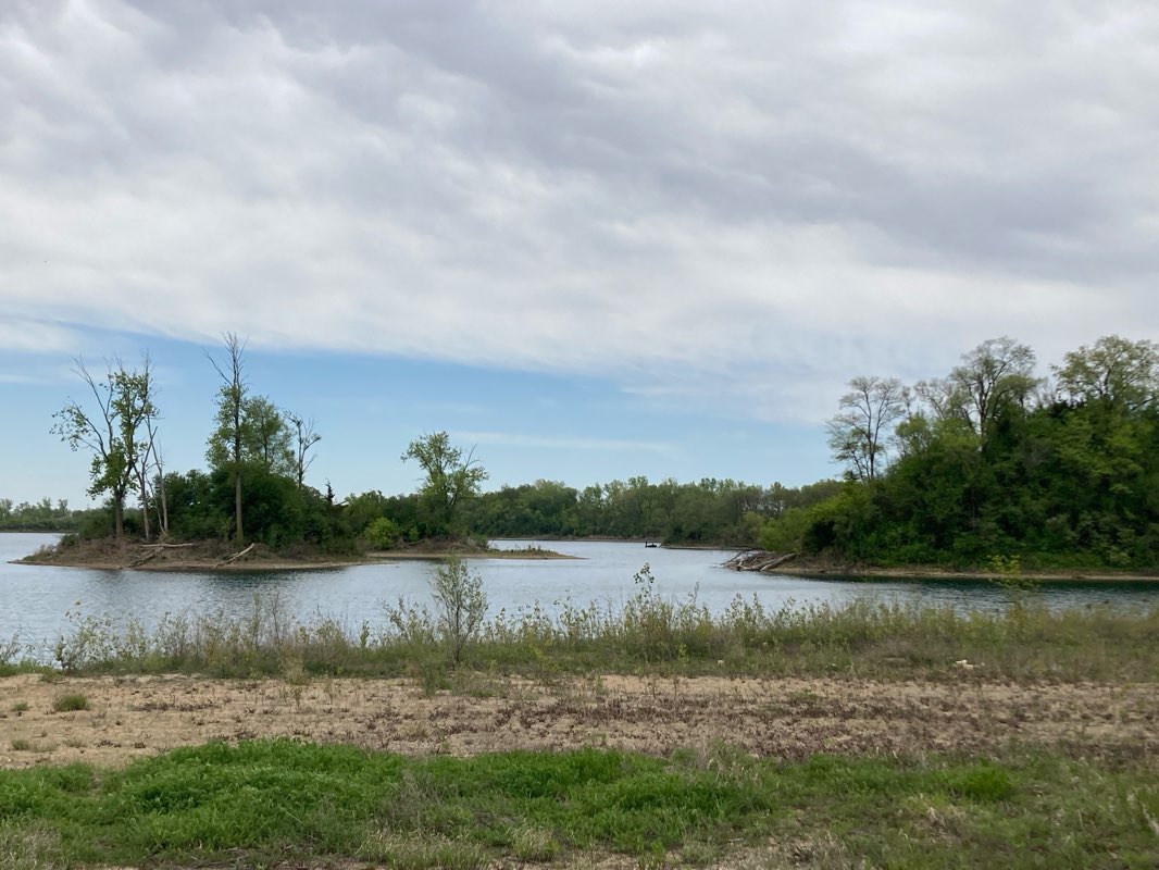 walking near me in Three Oaks Recreation Area in spring
