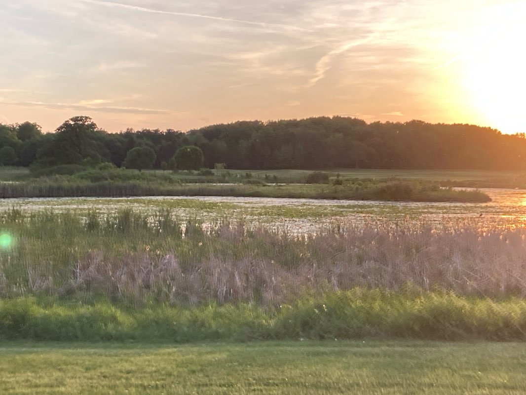 walking near me in Lippold Park in summer