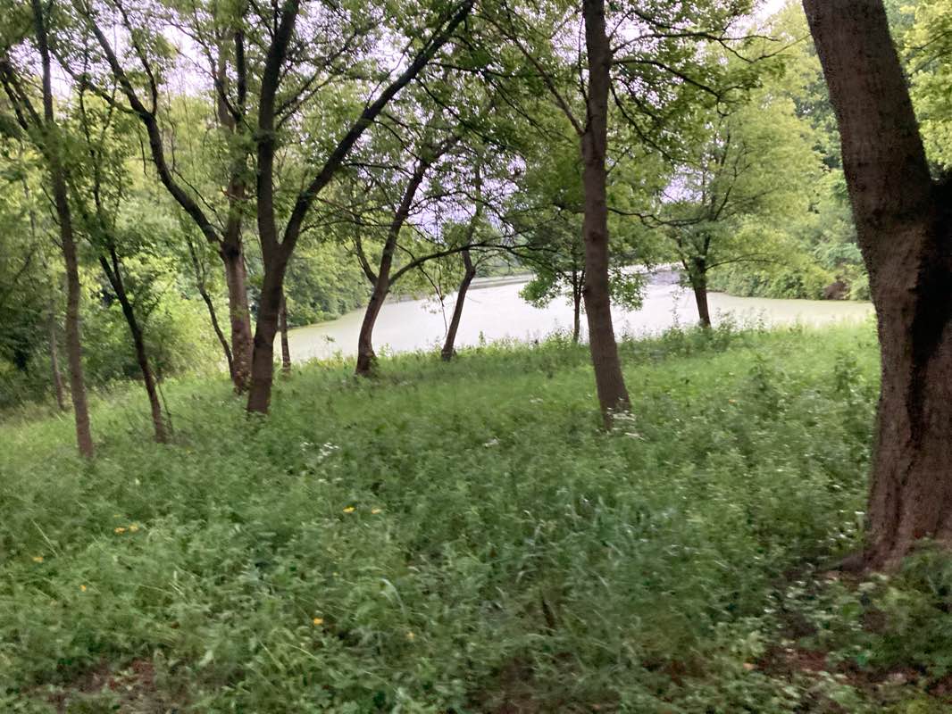 walking near me in Willows Edge Park in summer