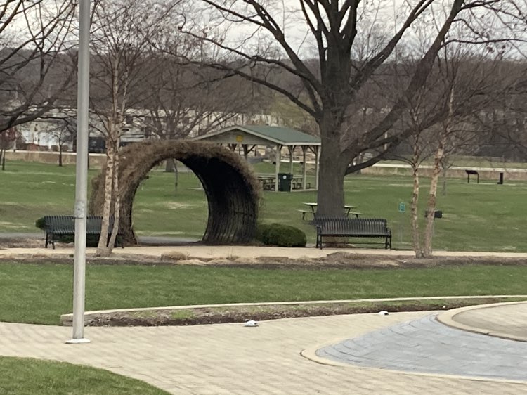 walking near me in Carpenter Park in spring