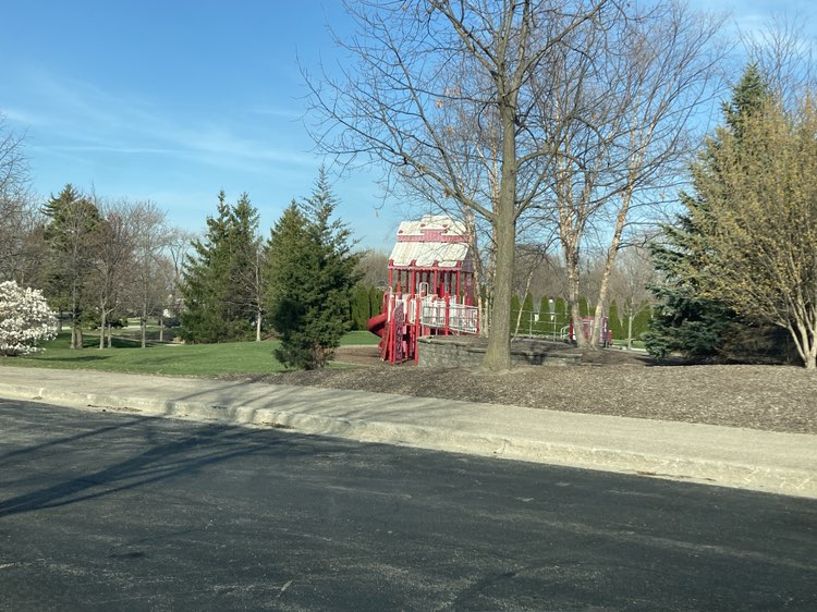 walking near me in Vogelei Park in spring