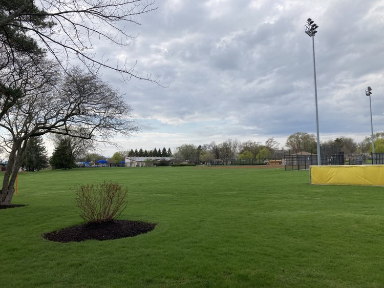 walking near me in Meadows Park in spring