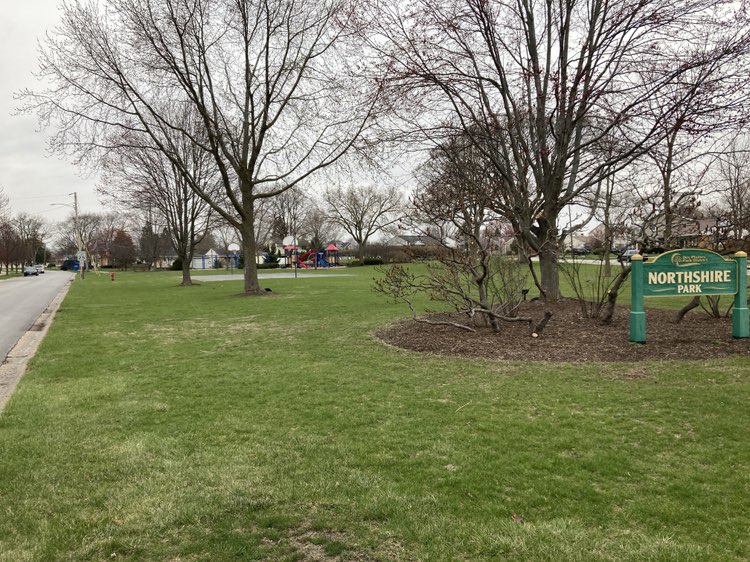 walking near me in Northshire Park in spring