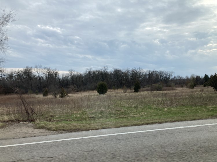 walking near me in Spring Lake Forest Preserve in spring