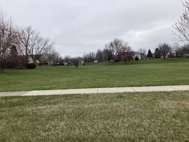 walking near me in Lincoln Park in spring