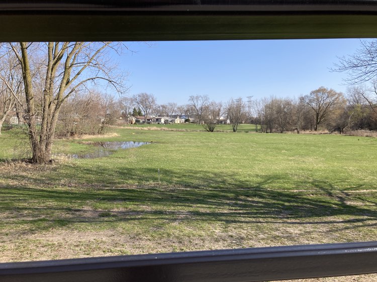 walking near me in Burbank Park in spring