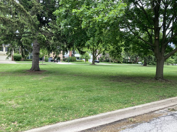 walking near me in Windsor Parkway Park in spring