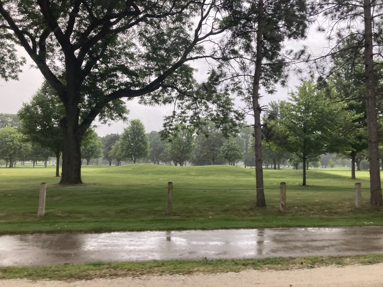 walking near me in Seminary Park in summer