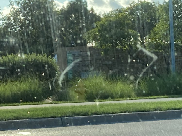 walking near me in Carolshire Park in autumn