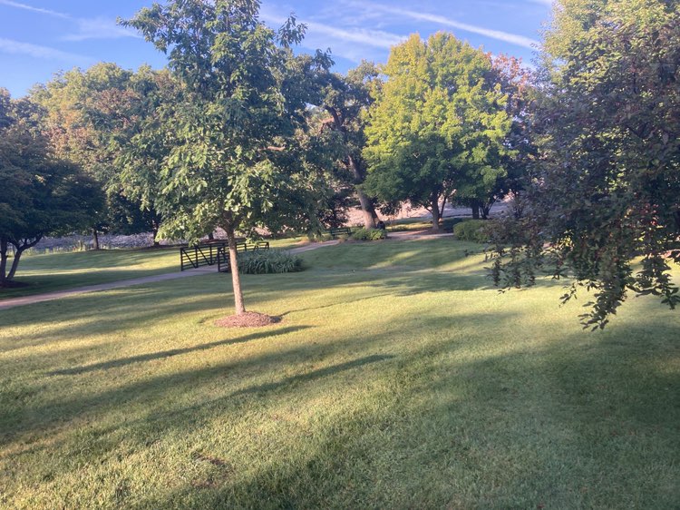 walking near me in Echo Hill Park in autumn