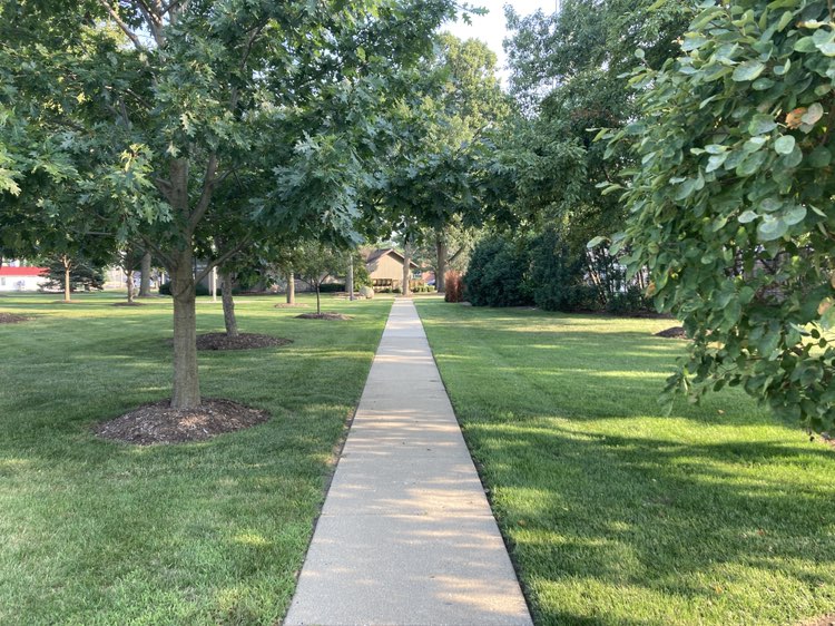 walking near me in McCormick Park in autumn
