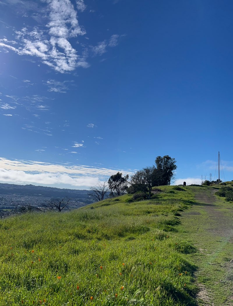 walking near me in Sign Hill Park in spring