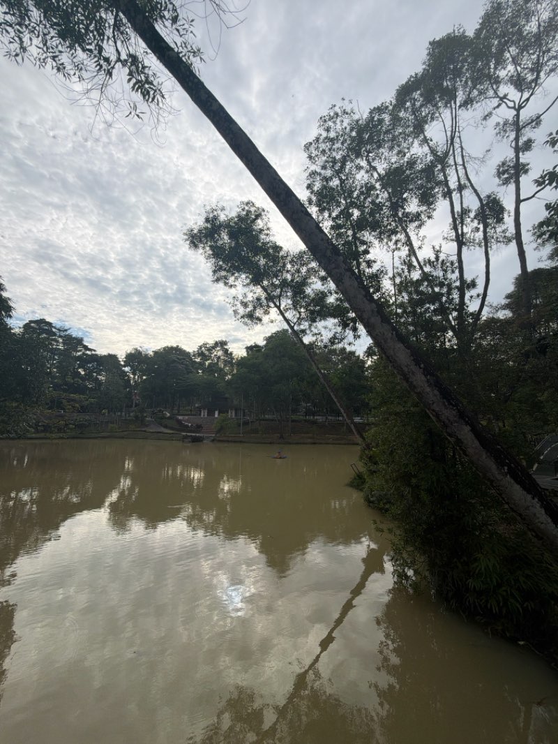 walking near me in MBJB City Forest in winter
