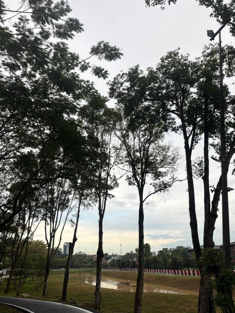 walking near me in Taman Merdeka in spring