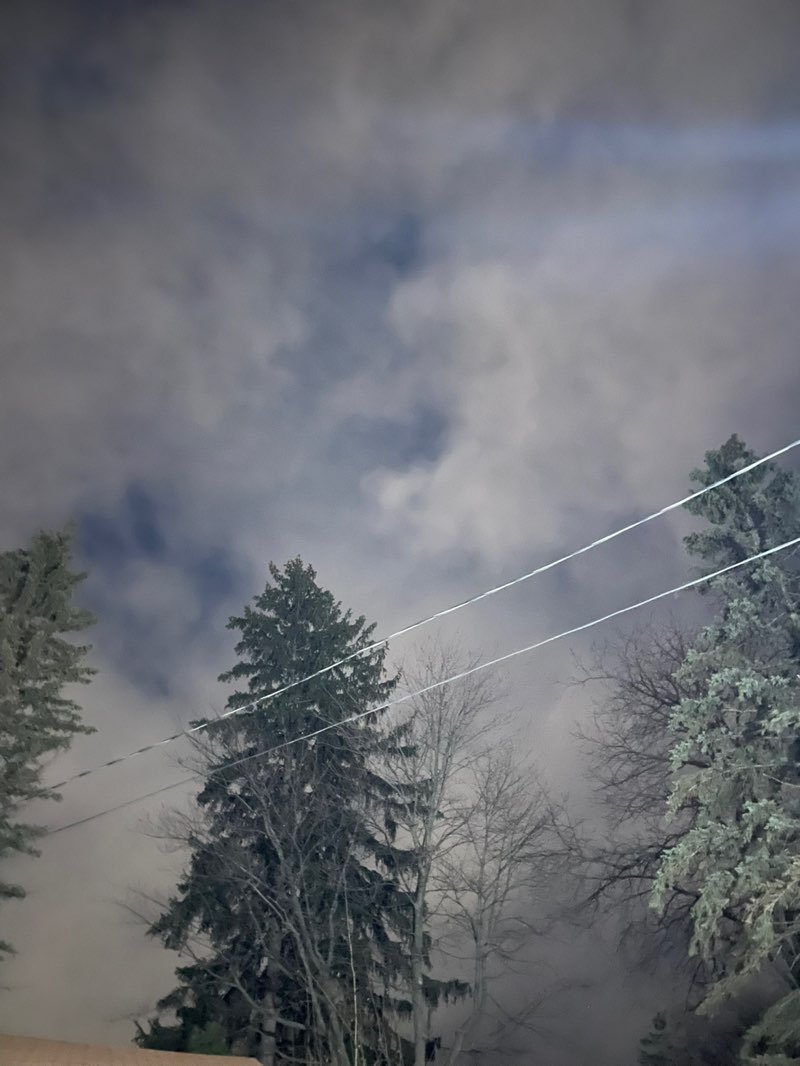 walking near me in V. T. Pride Park in winter