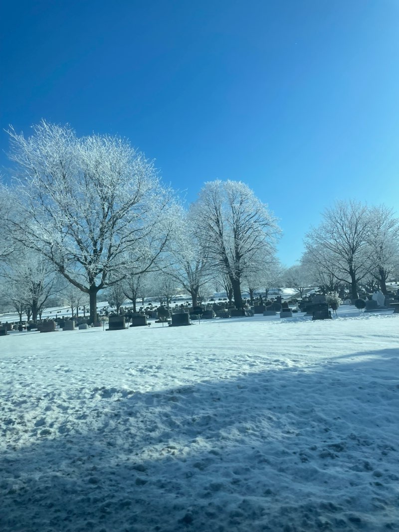 walking near me in Joannes Park in winter