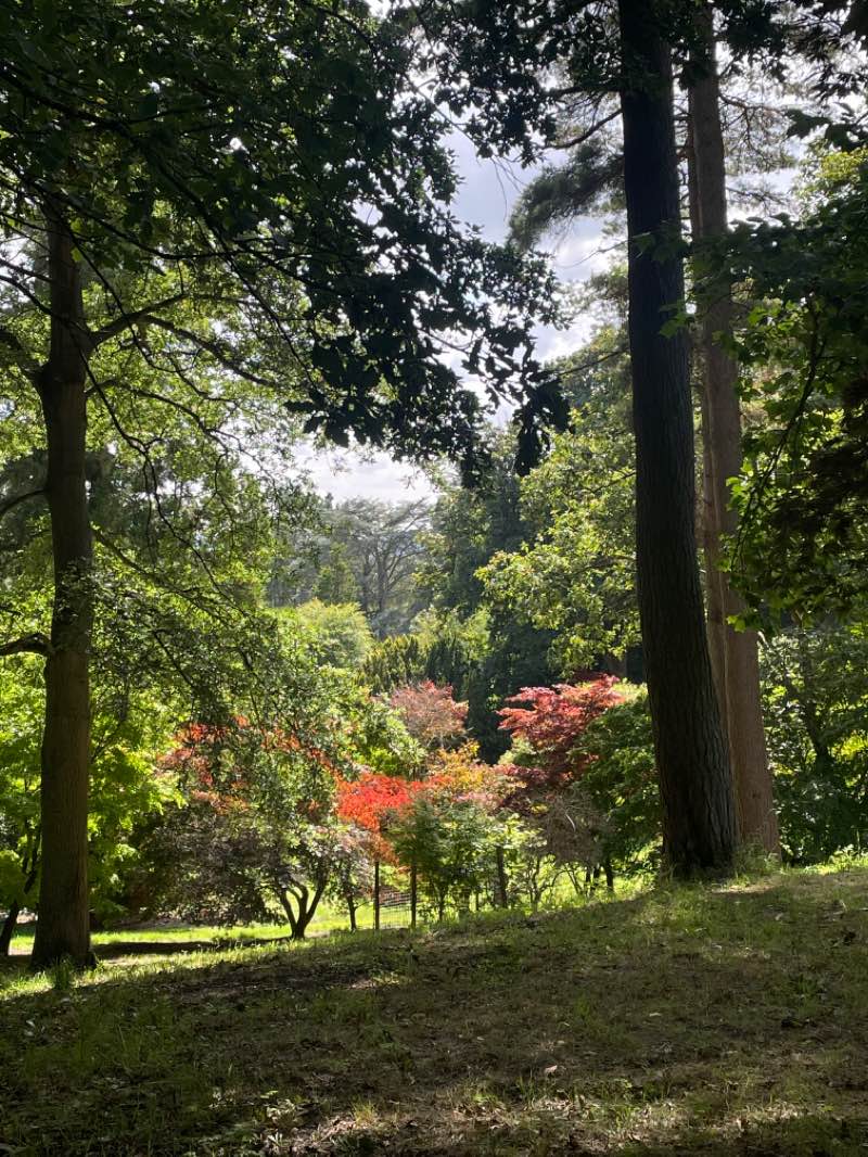walking near me in Batsford Park in winter