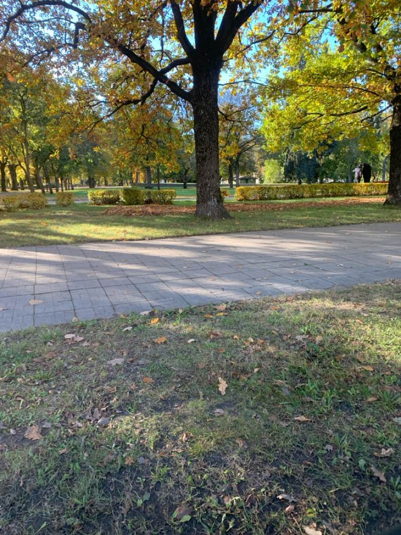 walking near me in Raiņa parks in autumn