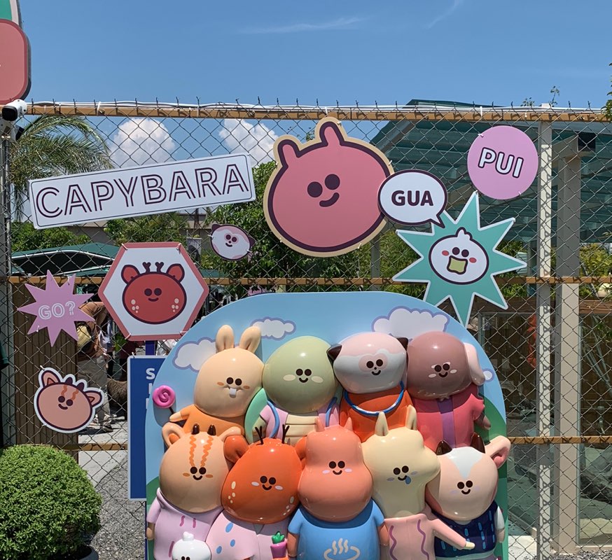 桃站 顧客服務 鄂巧芸 profile